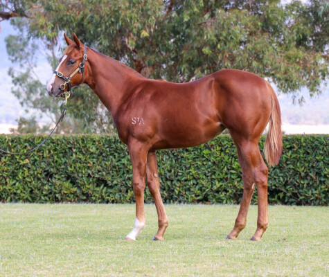 Lot 309: Stay Inside / I'llhandalthecash (USA)