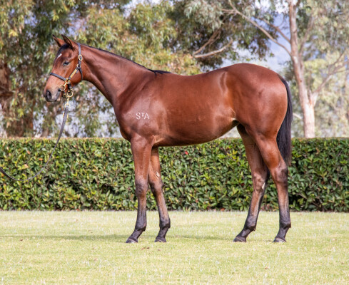 Lot 354: In the Congo / Let's Twist