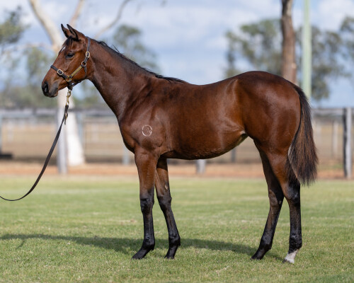 Lot 185: Stay Inside / Breath of Wind