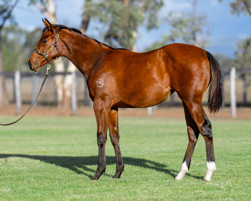 Lot 233: Portland Sky / Don'tspoiltheparty