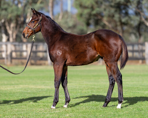 Lot 334: Cosmic Force / Kiss in the Rain