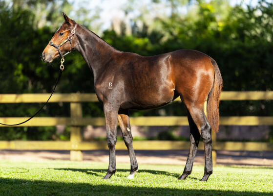Lot 330: Stay Inside / Keepherinmind (NZ)