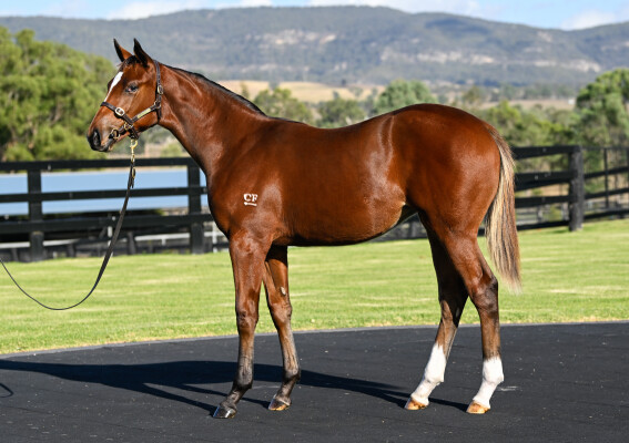 Lot 358: Pierro / Lilliburlero