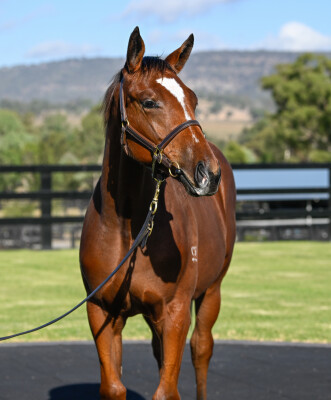 Lot 358: Pierro / Lilliburlero