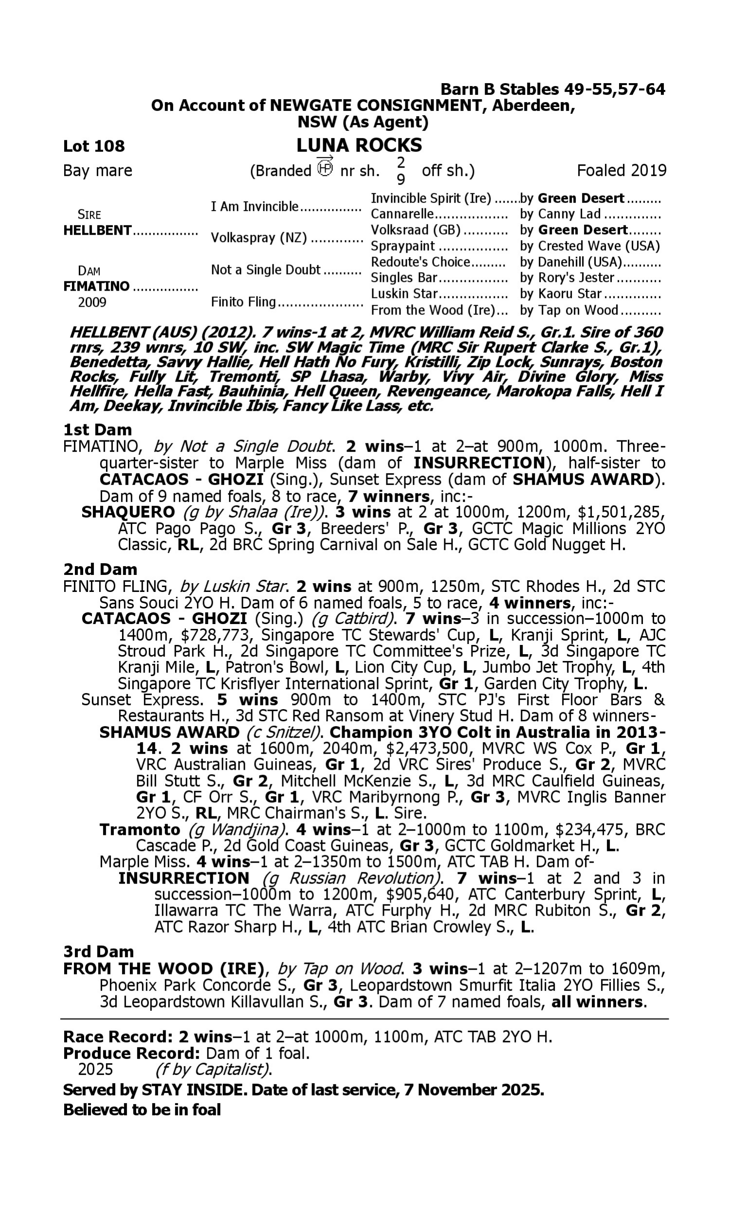 Pedigree for Lot 108 Hellbent - Fimatino