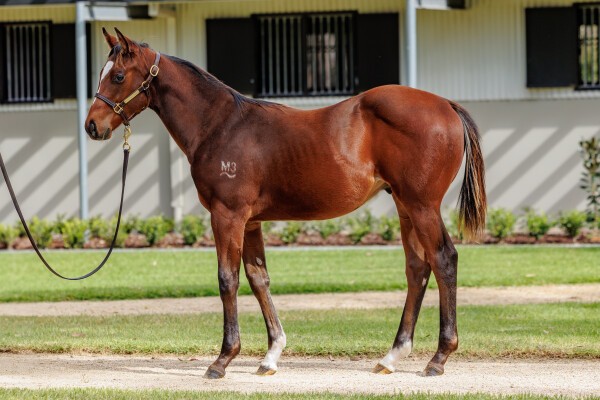 Lot 452: Prague / Penny For