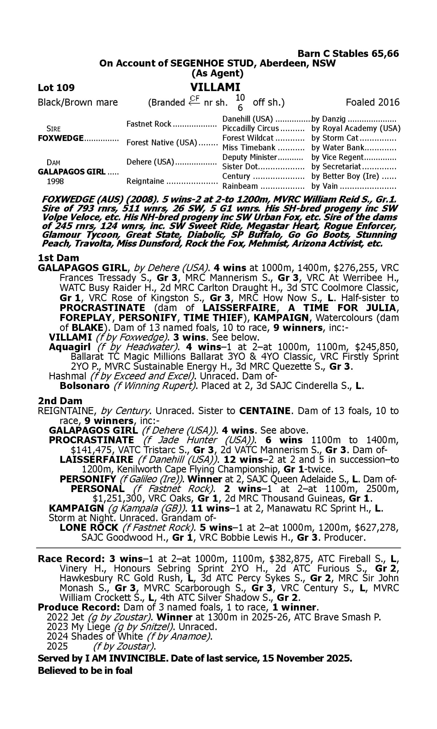 Pedigree for Lot 109 Foxwedge - Galapagos Girl