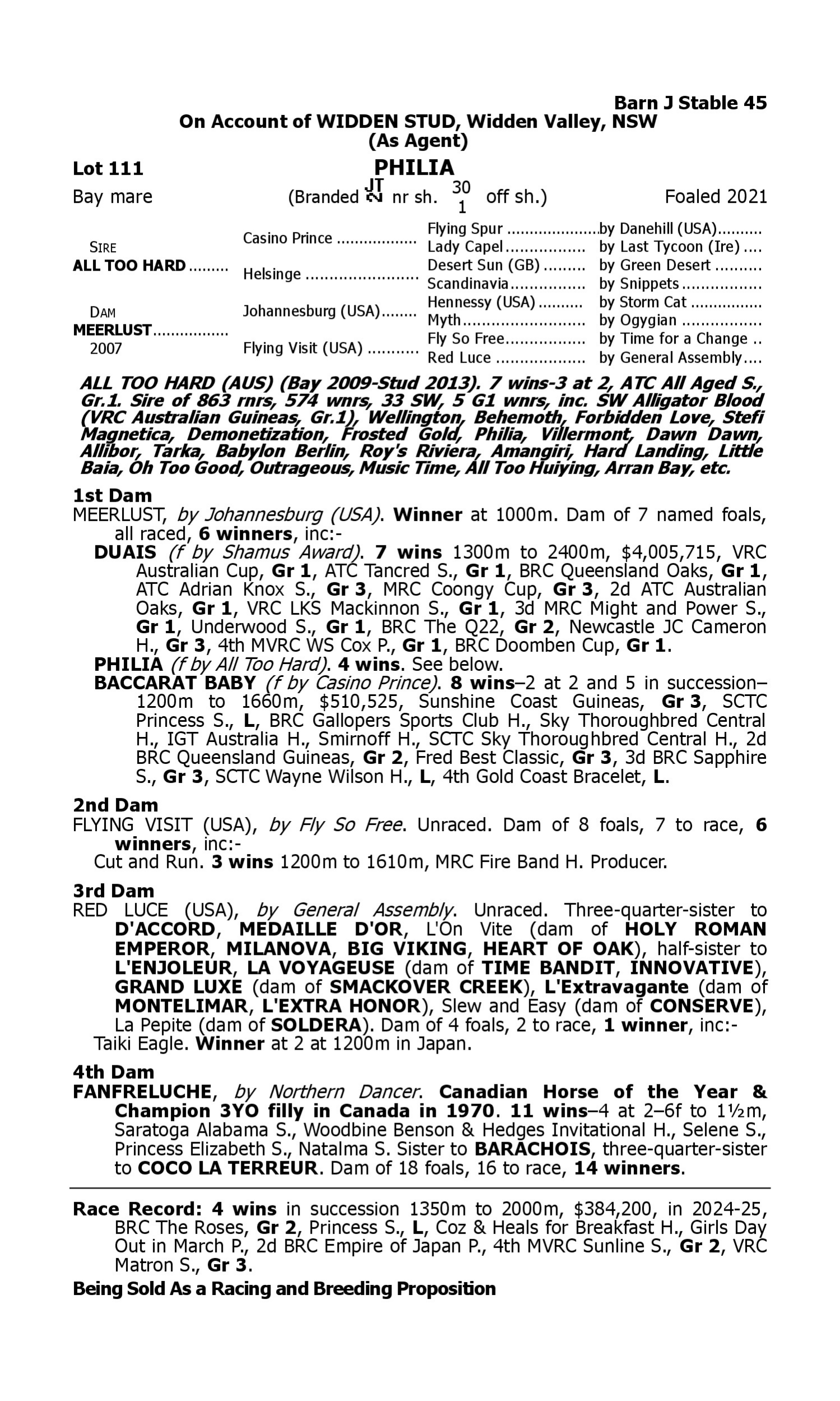 Pedigree for Lot 111 All Too Hard - Meerlust