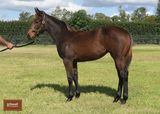 Lot 76: Hellbent / The Gift