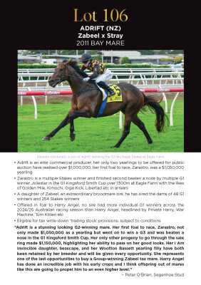 Lot 106: Zabeel (NZ) / Stray (NZ)
