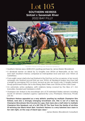 Lot 105: Snitzel / Savannah River