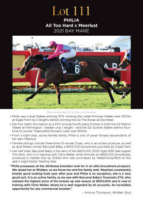 Lot 111: All Too Hard / Meerlust