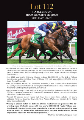 Lot 112: Hinchinbrook / Quipster