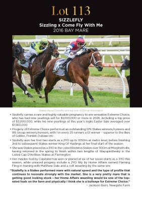 Lot 113: Sizzling / Come Fly With Me