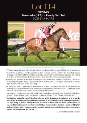 Lot 114: Toronado (IRE) / Ready Set Sail