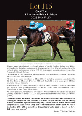 Lot 115: I Am Invincible / Lubiton