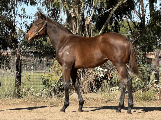 Lot 35: Stay Inside / Smokin' Val