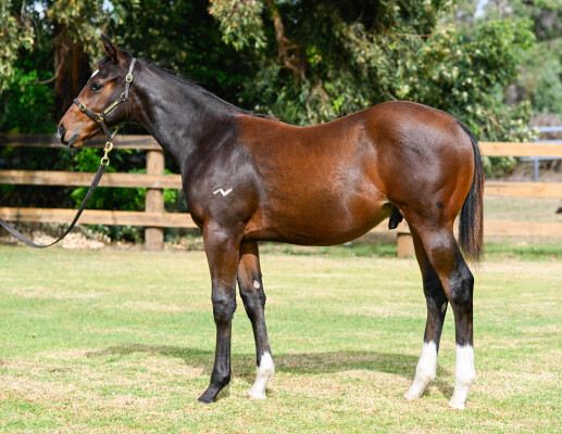 Lot 107: Hellbent / Verdier