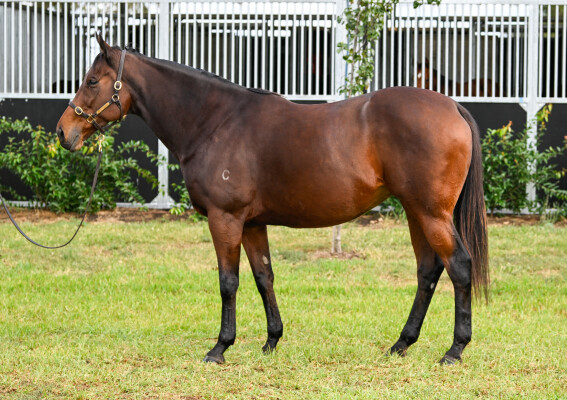 Lot 65: Fastnet Rock / Sacred Eye
