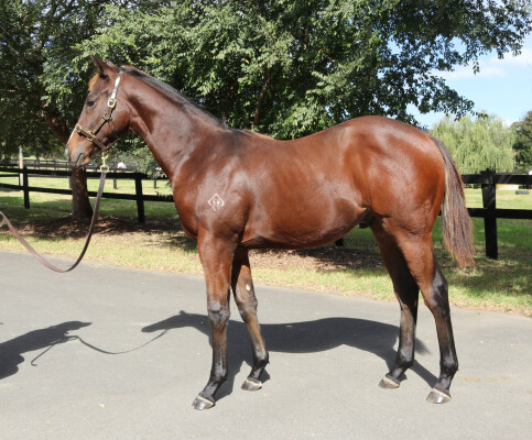 Lot 21: Dirty Work / Shudabeen