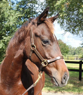 Lot 21: Dirty Work / Shudabeen