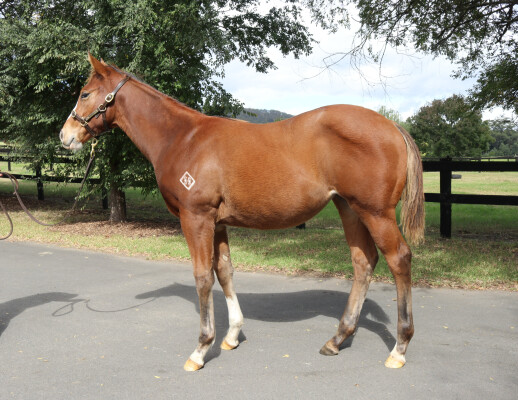 Lot 411: Farnan / My Sanctuary (GB)