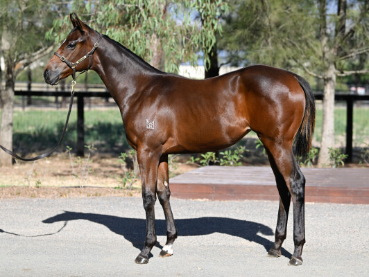 Lot 13: Stay Inside / Seleque