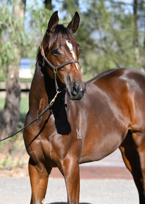 Lot 13: Stay Inside / Seleque