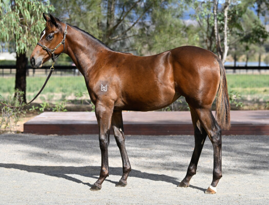 Lot 121: Cosmic Force / Woburn Abbey