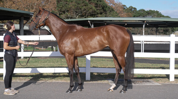 Lot 7: The Autumn Sun / See You Soon