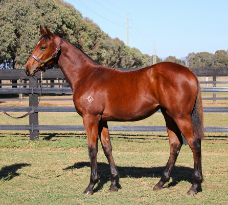 Lot 98: Time to Reign / Typecast