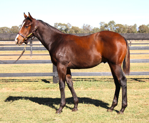 Lot 105: Cosmic Force / Varese