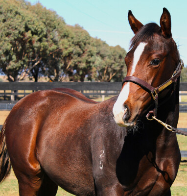Lot 105: Cosmic Force / Varese