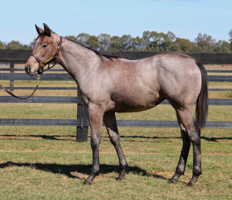 Lot 469: Capitalist / Punch the Clock