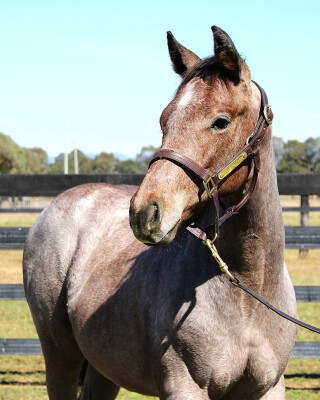 Lot 469: Capitalist / Punch the Clock
