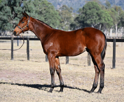 Lot 399: Ole Kirk / Money Wanted