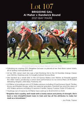 Lot 107: Al Maher / Randwick Bound