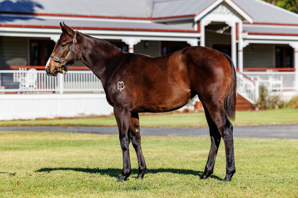 Lot 460: Tassort / Pozesana