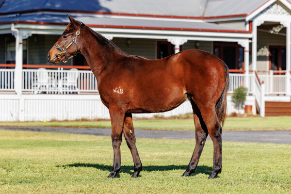 Lot 154: Home Affairs / Andalusia
