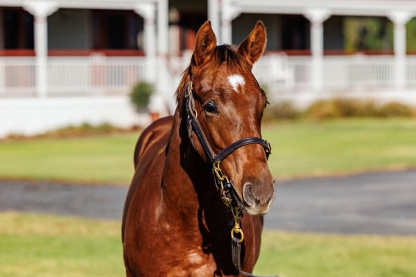 Lot 394: Ole Kirk / Missouri Waltz