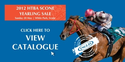2012 Scone Yearling Sale