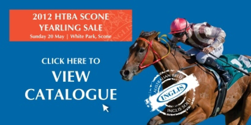 2012 Scone Yearling Sale