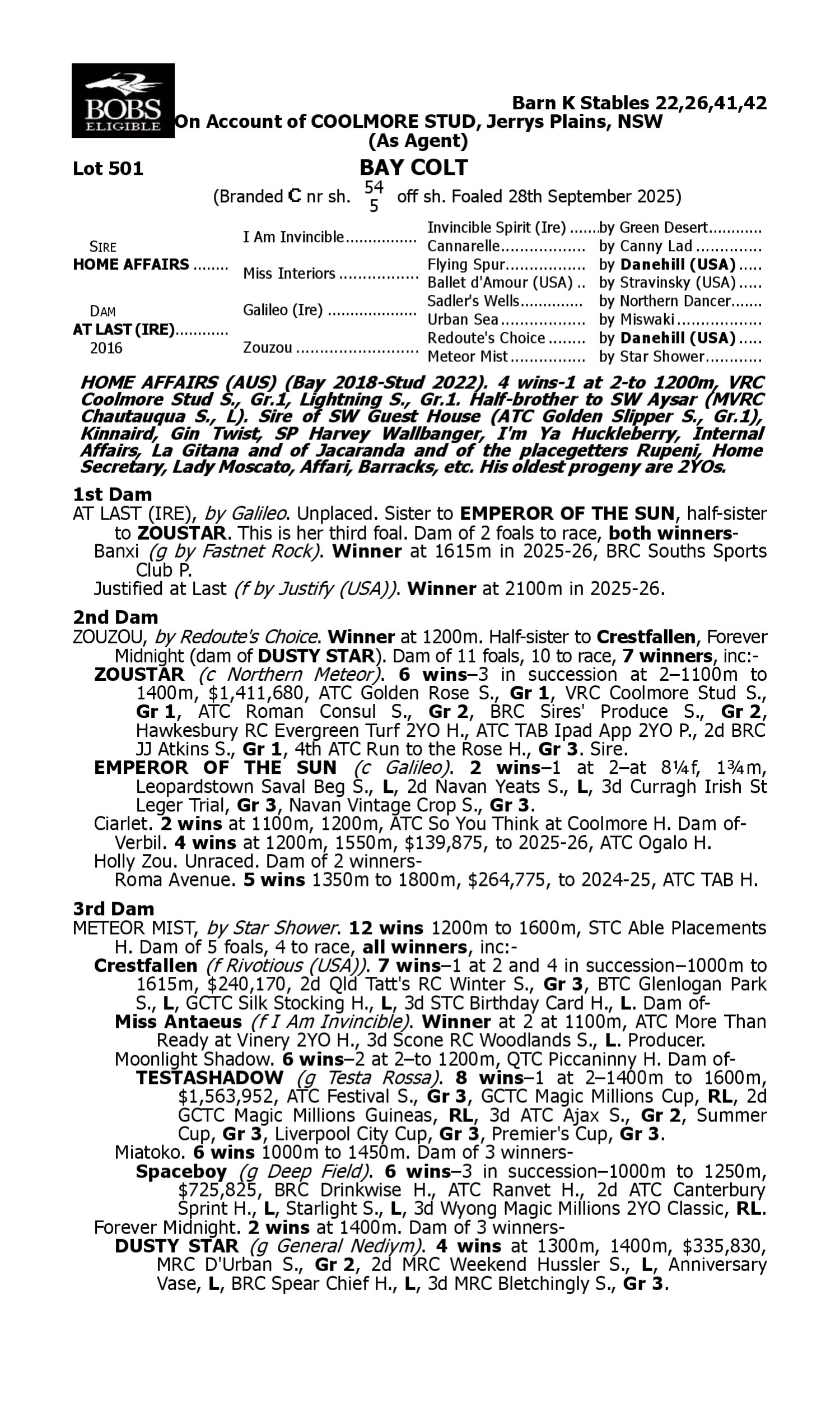Pedigree for Lot 501 Home Affairs - At Last (IRE)