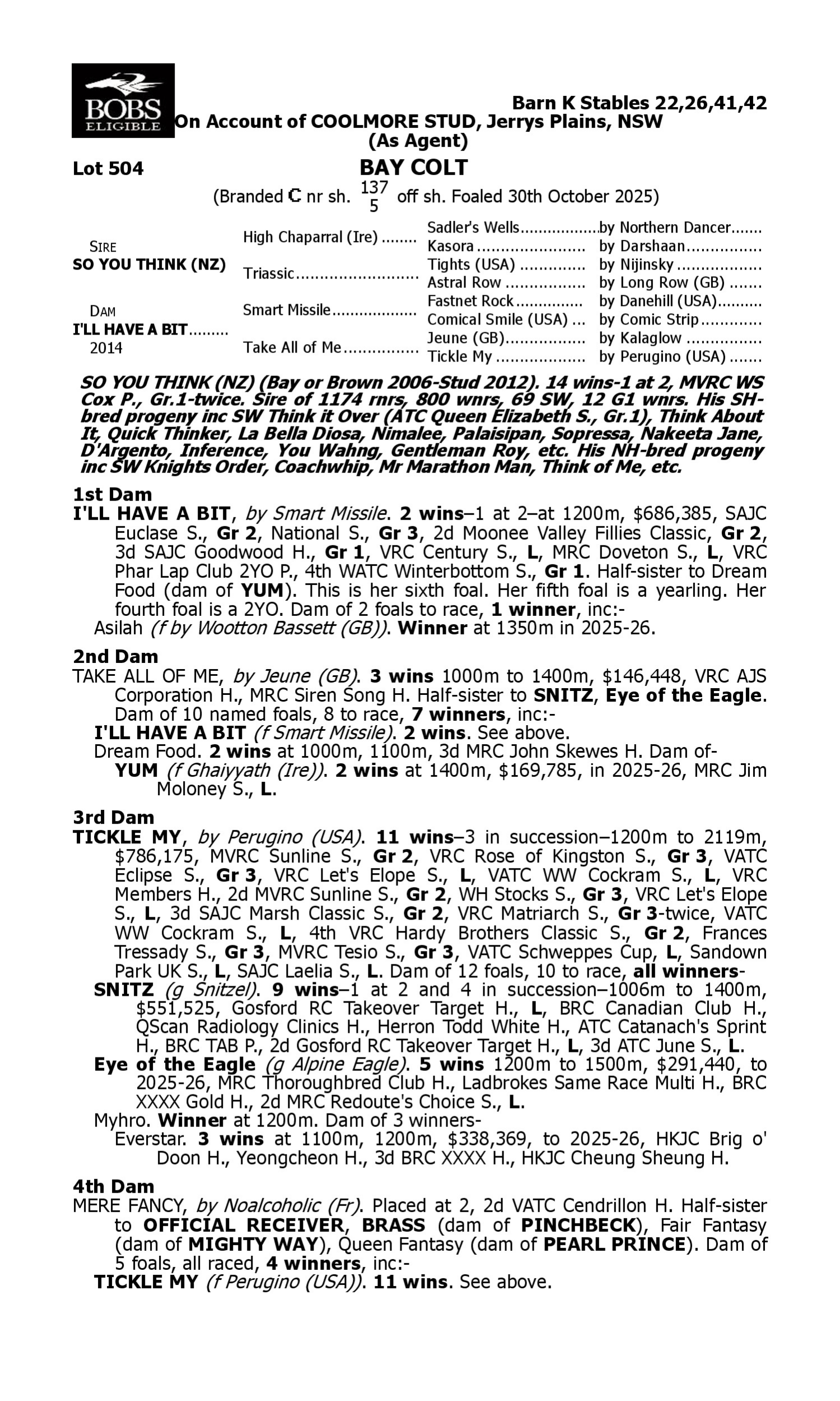 Pedigree for Lot 504 So You Think (NZ) - I'll Have a Bit