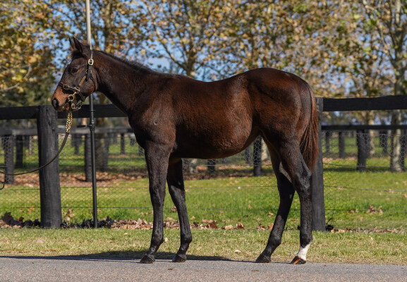 Lot 503: Capitalist / Catchy