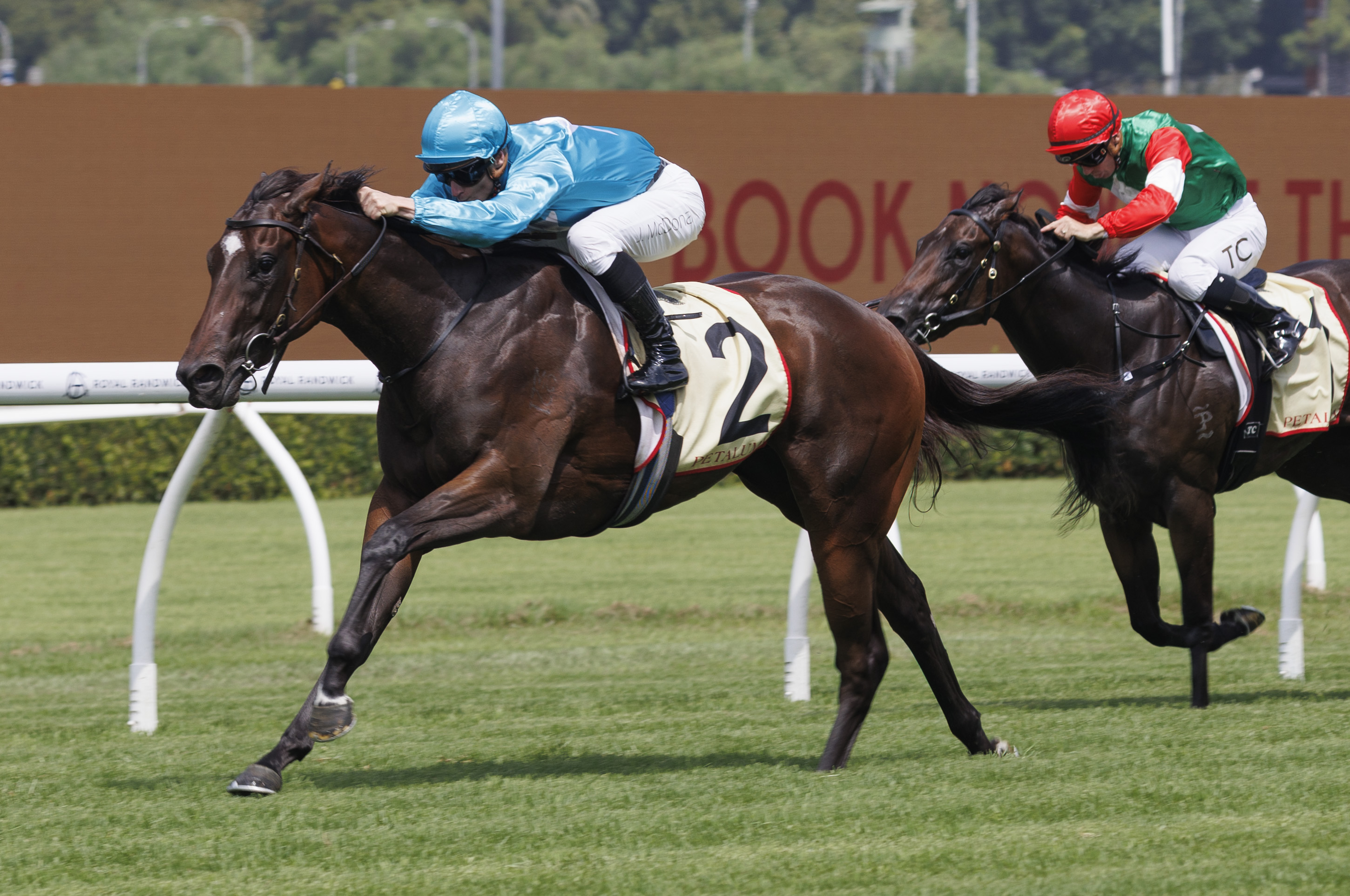 Supplementaries finalised for Chairman's Sale