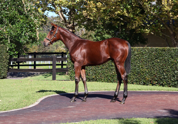 Lot 498: Stay Inside / Rubia Miss