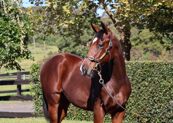 Lot 498: Stay Inside / Rubia Miss
