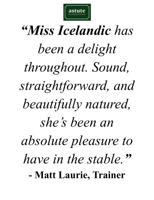 Lot 89: Deep Field / Iceland Turf Belle