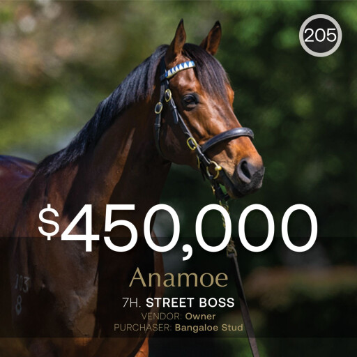 Anamoe breeding right sells for $450,000 on Day 1 of April (Late) Sale